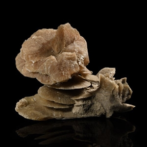 Desert Rose Mineral Specimen Group