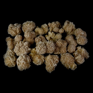 20 Large Desert Rose Mineral Specimens