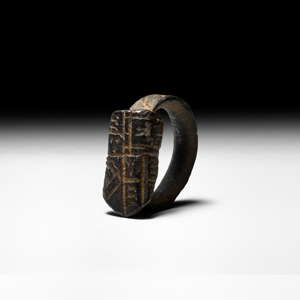 King James Is Personal Hawking Ring