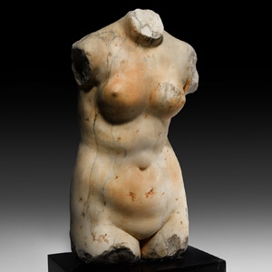 Renaissance Marble Torso of Venus