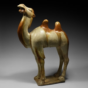 The Desmond Morris Chinese Tang Camel
