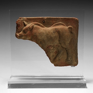 Etruscan Boar Plaque