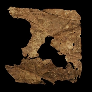 Bactrian Manuscript Fragment of a Letter