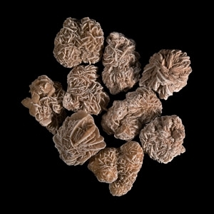 Large Desert Rose Cluster Group
