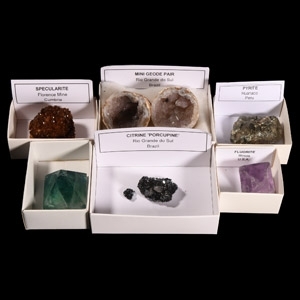 Natural History - Mixed Crystal Specimen Display Group