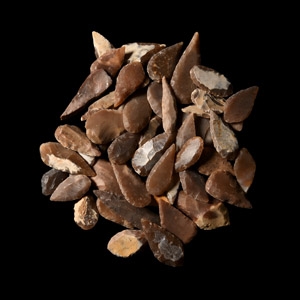 Stone Age Knapped Flint Arrowhead Collection