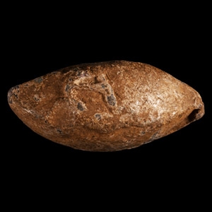 Roman Julius Caesar Sling Shot from the Battle of Munda