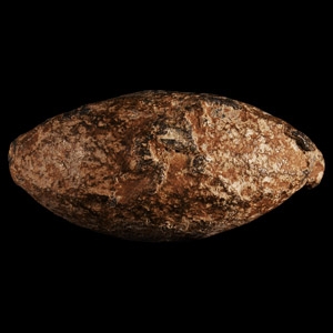 Roman Julius Caesar Sling Shot from the Battle of Munda