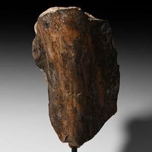 Natural History - Large Mammoth Bone Display