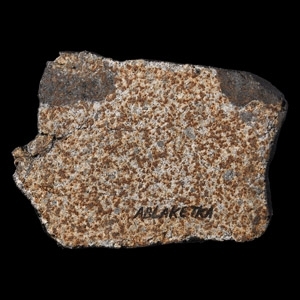 Natural History - Ablaketka Kazakhstan Meteorite Full Slice with Fusion Crust