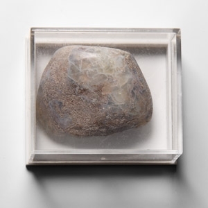 Natural History - Bivalve Shell Preserved in Opal