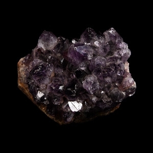 Natural History - Amethyst Crystal Specimen