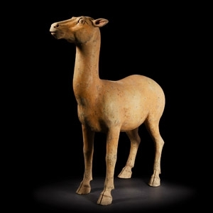 Large Chinese Tang Figure of a Fawn