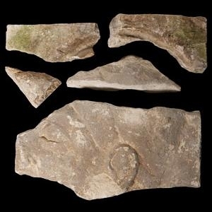 Egyptian Limestone Relief Fragment Group