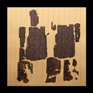 Papyrus Fragment Group with Hieroglyphs from the Book of the Dead for Qed-Mut