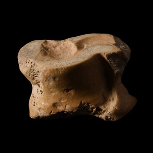 Late Roman Bone Gaming Piece