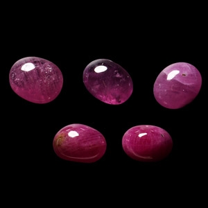 Natural History - 18.4 Carat Cabochon Ruby Group