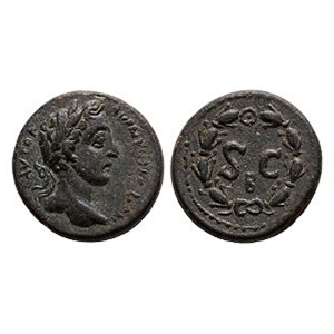 Ancient Roman Provincial Coins - Elagabalus - Antioch - SC Bronze