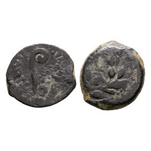 Ancient Roman Provincial Coins - Tiberius - Judea - Pontius Pilate - AE Prutah