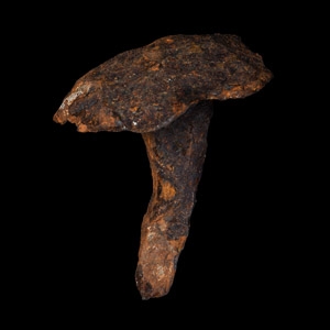Anglo-Saxon Iron Ship Rivet