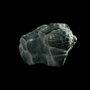 Natural History - Unpolished Natural Malachite Section
