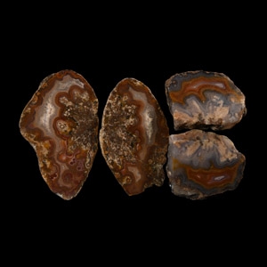 Natural History - Cut and Polished Agate Crystal Geode Section Group