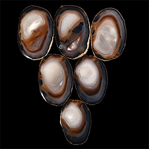 Natural History - Cut and Polished Agate Coaster Set