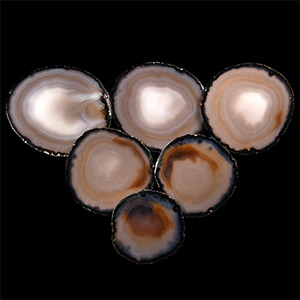 Natural History - Cut and Polished Agate Coaster Set