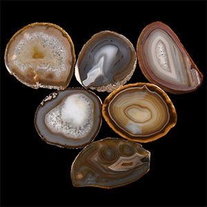 Natural History - Cut and Polished Agate Crystal Geode Section Slice Group
