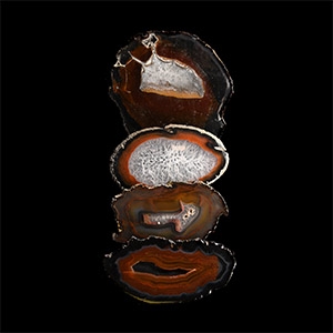 Natural History - Cut and Polished Agate Crystal Geode Slice Group