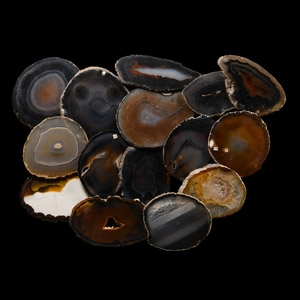 Natural History - Cut and Polished Agate Crystal Geode Slice Group