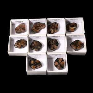 Natural History - Cut and Polished Chiastolite Mineral Specimen Group