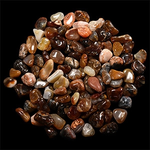 Natural History - Polished Mineral Specimen Group