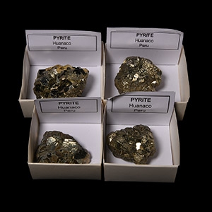 Natural History - Pyrite Crystal Specimen Group