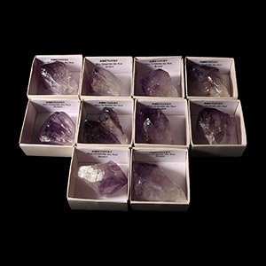 Natural History - Amethyst Crystal Specimen Group