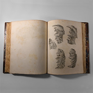 Natural History Books - Buckland - Reliquae Diluvianae