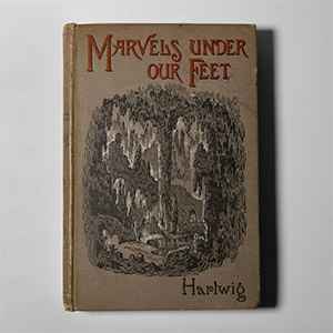 Natural History Books - Hartwig - Marvels Under Our Feet