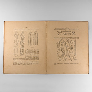 Natural History Books - Prinz - Les Cristallisations des Grottes de Belgique