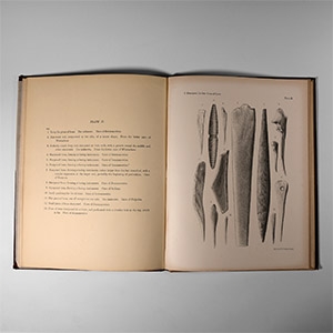 Natural History Books - Romer - The Bone Caves of Ojcow