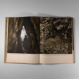 Natural History Books - Kunsky - Homes of Primeval Man