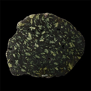 Natural History - Spartan Basalt Polished Green Porphyry Section