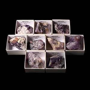 Natural History - Amethyst Crystal Specimen Group