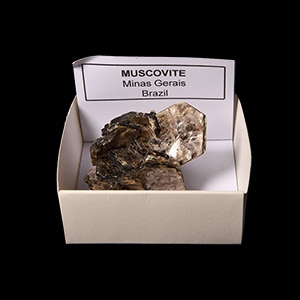 Natural History - Muscovite Crystal Mineral Specimen