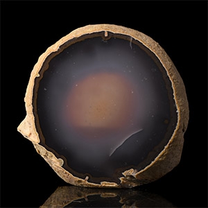 Natural History - Very Large Polished Agate Mineral Table