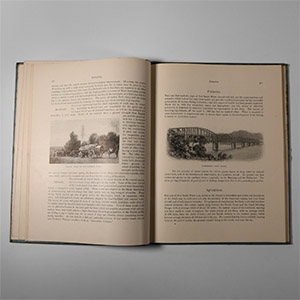 Natural History Books - Coghlan - Picturesque New South Wales