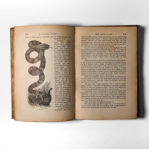 Natural History Books - Nisbet - A Colonial Tramp