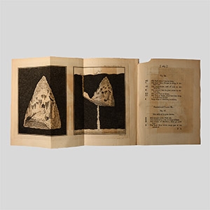 Natural History Books - Lloyd / King - Description of Elden Hole in Derbyshire