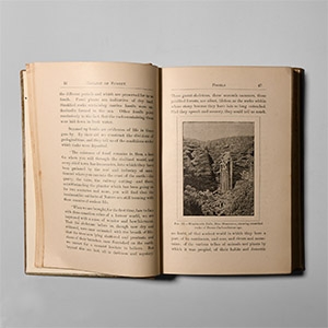 Natural History Books - Curran - Australia, Geology of Sydney and the Blue Mountains