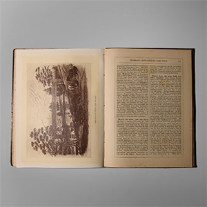 Natural History Books - Australia, New South Wales - The Railway Guide