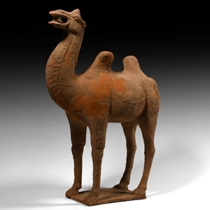Chinese Tang Ceramic Standing Camel